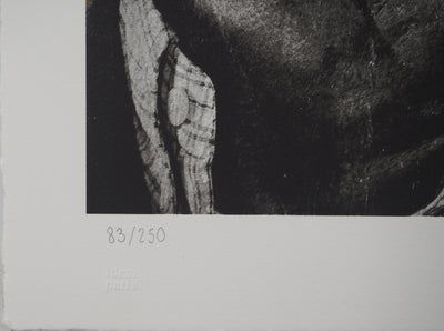 JR: Ballett, die Tänzerin auf den Dächern von Paris, original signierte Lithographie