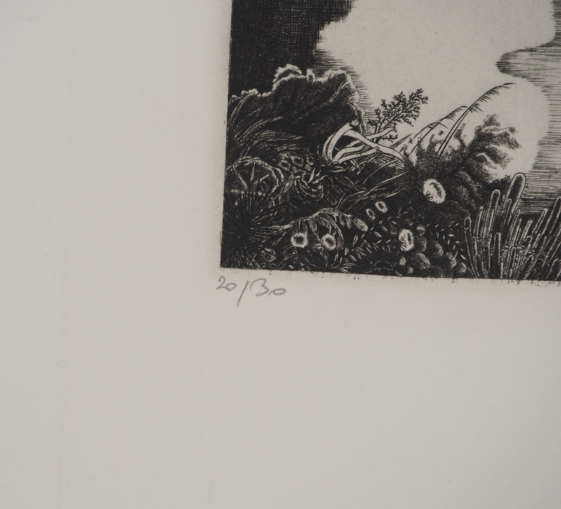 Philippe MOHLITZ: Failed clog, Original signed engraving