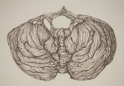 Cécile REIMS : Aube, Gravure originale signée