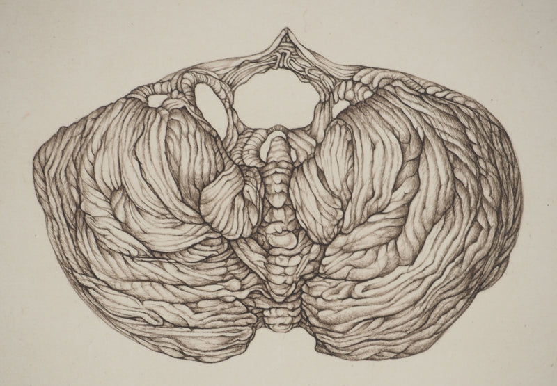 Cécile REIMS : Aube, Gravure originale signée