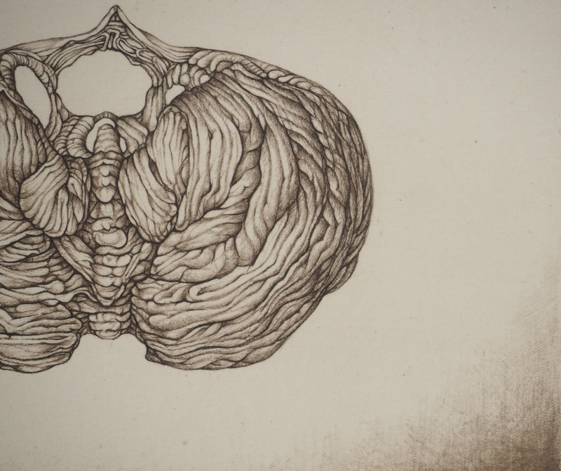 Cécile REIMS : Aube, Gravure originale signée