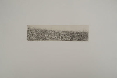 Cécile REIMS : Paysages anatomiques, Gravure originale signée