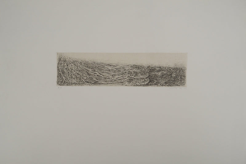 Cécile REIMS : Paysages anatomiques, Gravure originale signée
