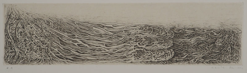 Cécile REIMS : Paysages anatomiques, Gravure originale signée