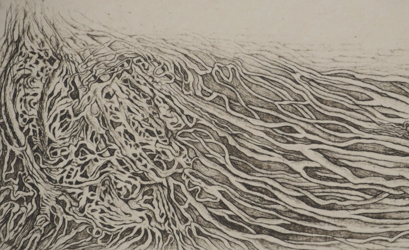 Cécile REIMS : Paysages anatomiques, Gravure originale signée