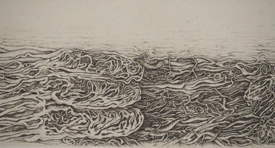 Cécile REIMS : Paysages anatomiques, Gravure originale signée