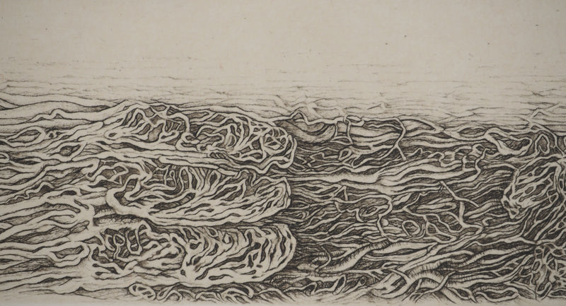 Cécile REIMS : Paysages anatomiques, Gravure originale signée