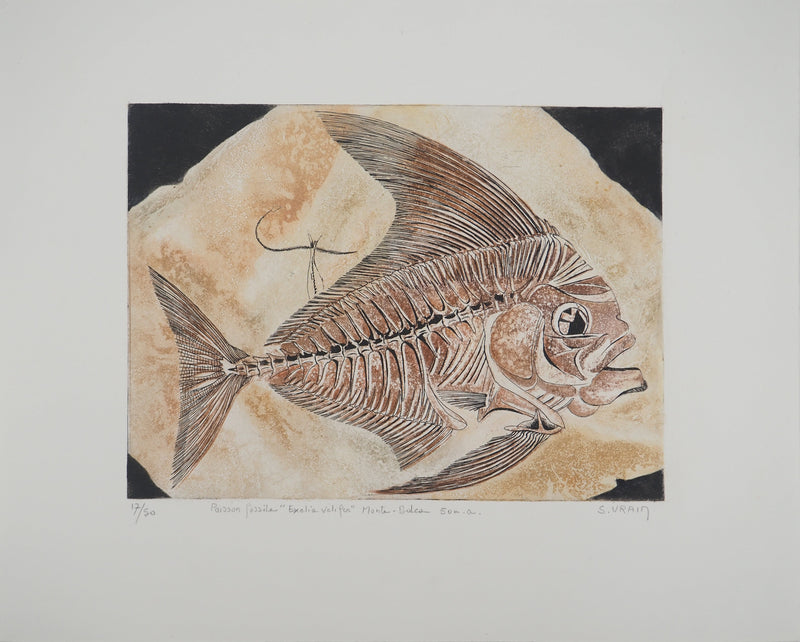 Simone VRAIN : Poisson fossile, Gravure originale signée