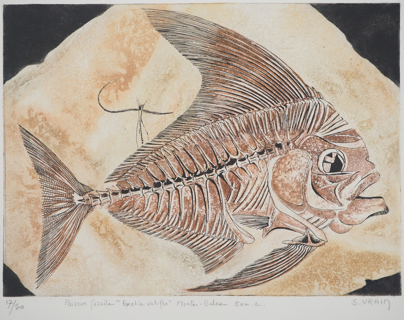 Simone VRAIN : Poisson fossile, Gravure originale signée