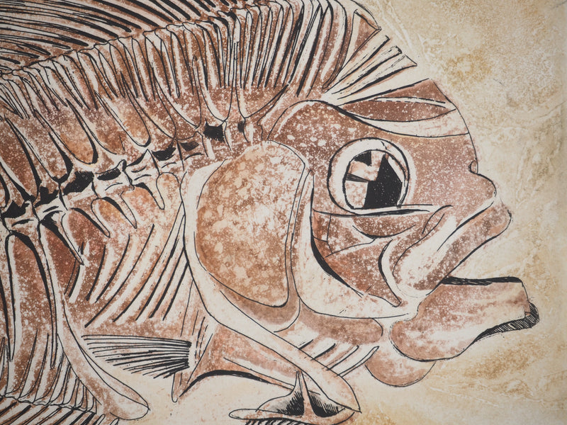 Simone VRAIN : Poisson fossile, Gravure originale signée