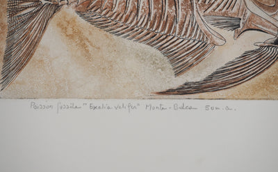 Simone VRAIN : Poisson fossile, Gravure originale signée