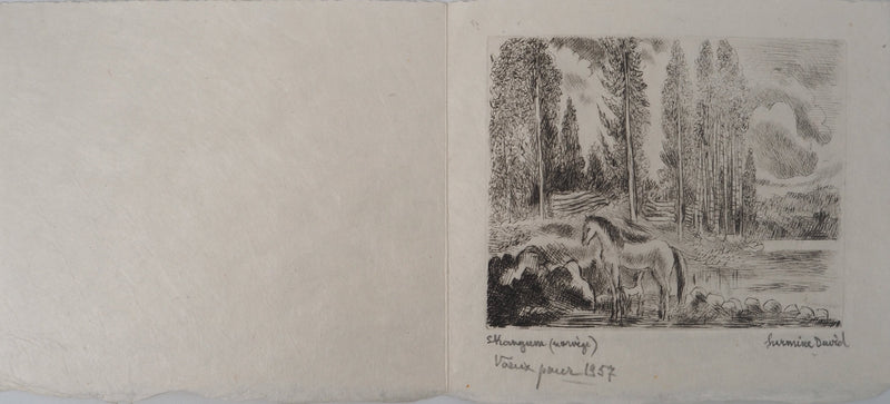 Hermine DAVID : Sentier en forêt,, Gravure originale (vue générale) - Crédit photo : Galerie Art.Paris