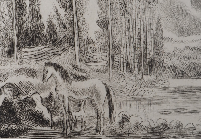 Hermine DAVID : Sentier en forêt, Gravure originale signée