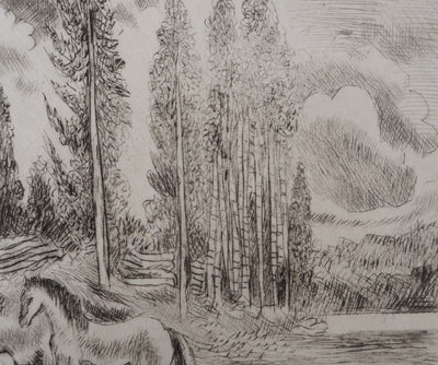 Hermine DAVID : Sentier en forêt, Gravure originale signée