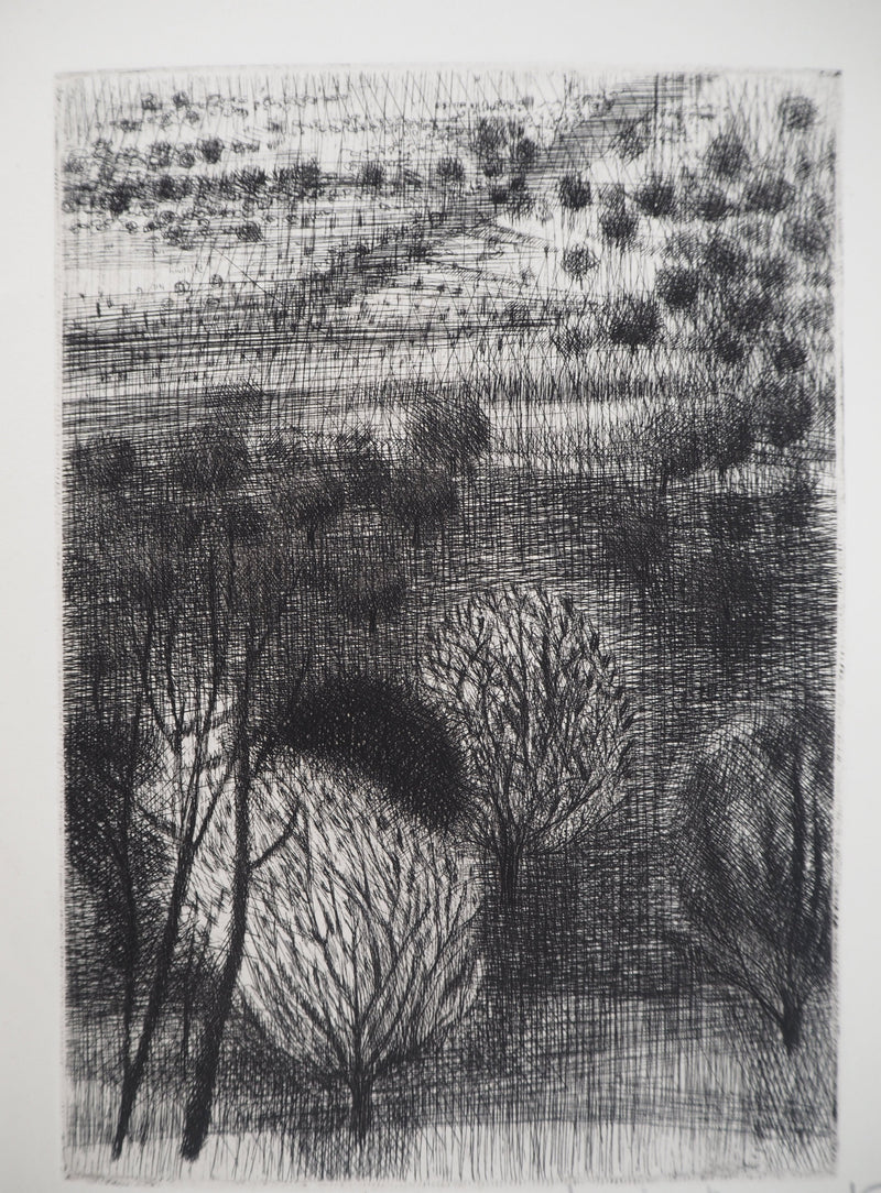 Janine ACREMANT : Paysage d&