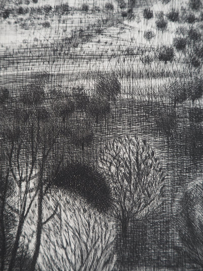 Janine ACREMANT : Paysage d'un champ de buissons, Gravure originale (photo de détail 4) - Crédit photo : Galerie Art.Paris