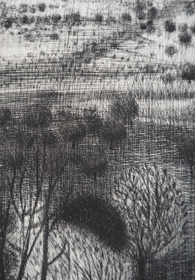 Janine ACREMANT : Paysage d'un champ de buissons, Gravure originale (photo de détail 5) - Crédit photo : Galerie Art.Paris