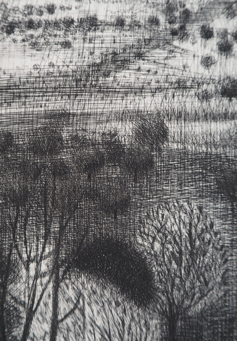 Janine ACREMANT : Paysage d&