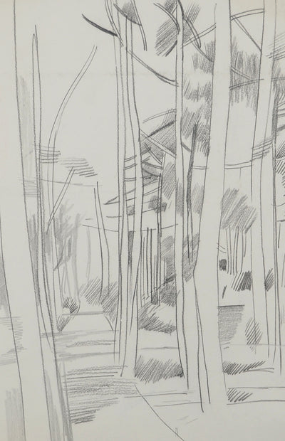 Maurice GENIS : Forêt tropicale, Dessin original
