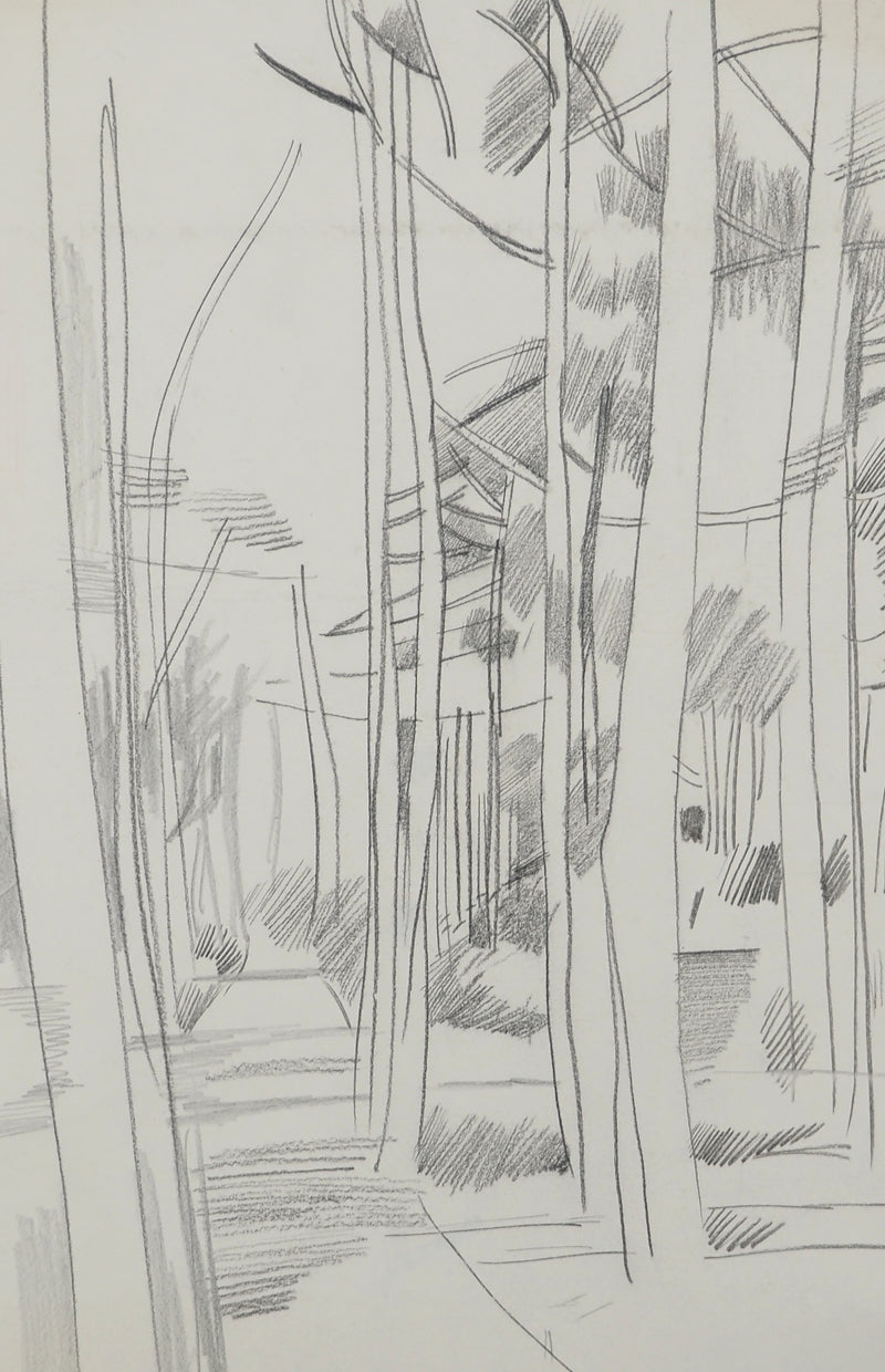 Maurice GENIS : Forêt tropicale, Dessin original