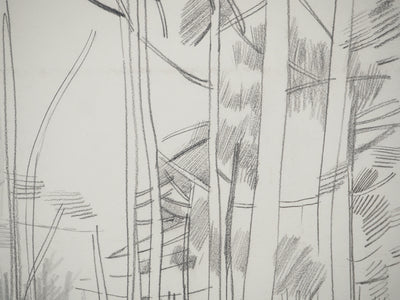 Maurice GENIS : Forêt tropicale, Dessin original
