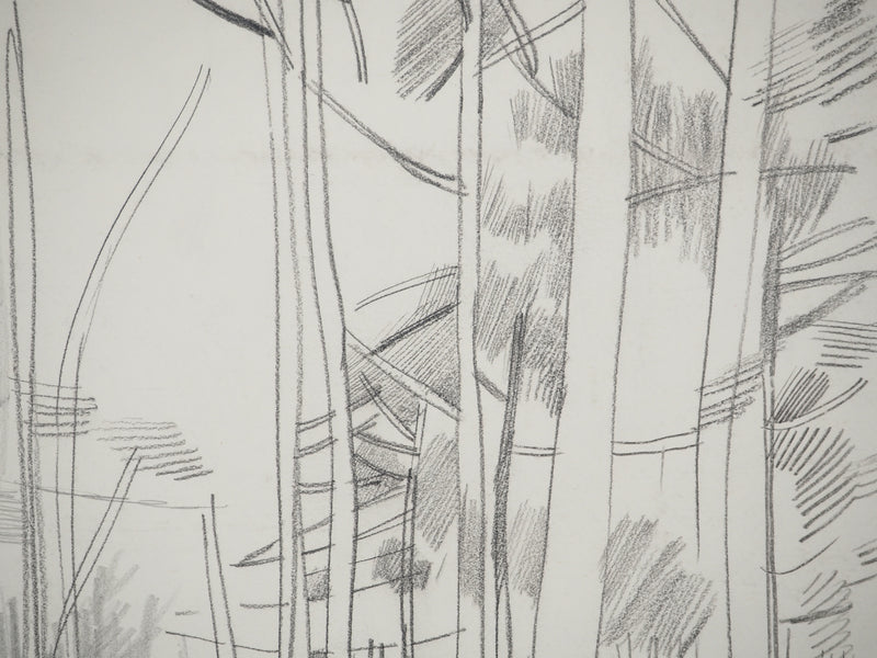Maurice GENIS : Forêt tropicale, Dessin original