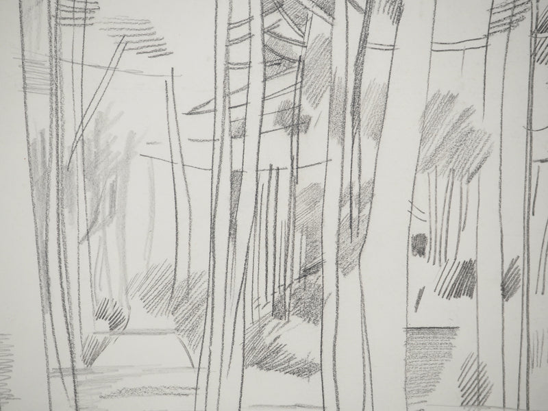 Maurice GENIS : Forêt tropicale, Dessin original
