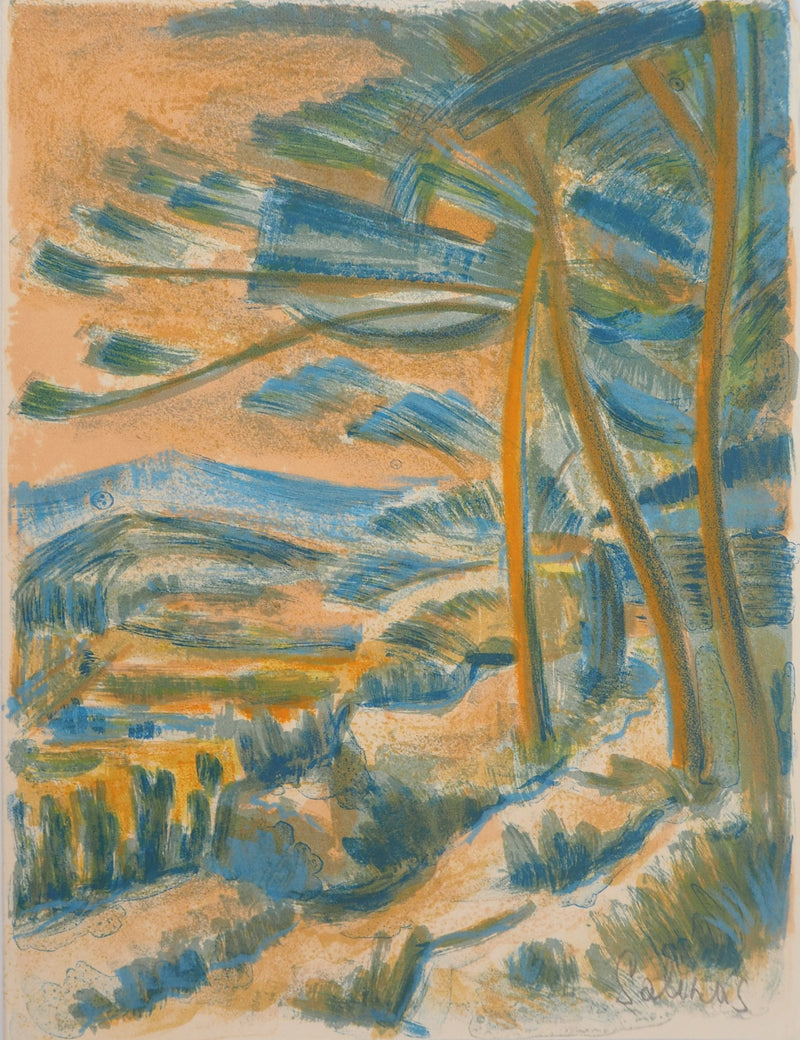 Marcel SALINAS : Paysage de Montagne , Lithographie originale (vue générale) - Crédit photo : Galerie Art.Paris