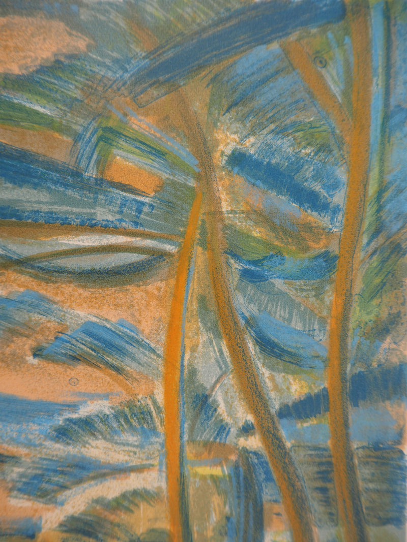 Marcel SALINAS : Paysage de Montagne , Lithographie originale (photo de détail 4) - Crédit photo : Galerie Art.Paris