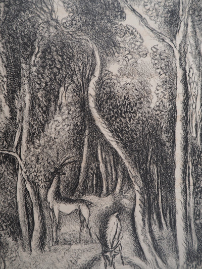 Hermine DAVID : Animaux en paix dans la forêt, Lithographie originale (photo de détail 4) - Crédit photo : Galerie Art.Paris