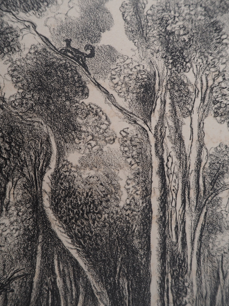 Hermine DAVID : Animaux en paix dans la forêt, Lithographie originale (photo de détail 5) - Crédit photo : Galerie Art.Paris