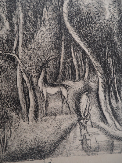 Hermine DAVID : Animaux en paix dans la forêt, Lithographie originale (photo de détail 6) - Crédit photo : Galerie Art.Paris