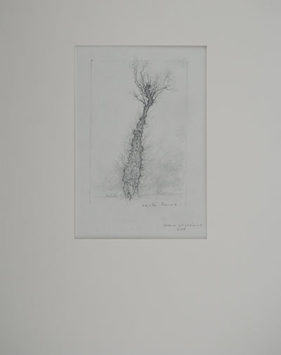 Cécile REIMS : L'arbre, Dessin original signé