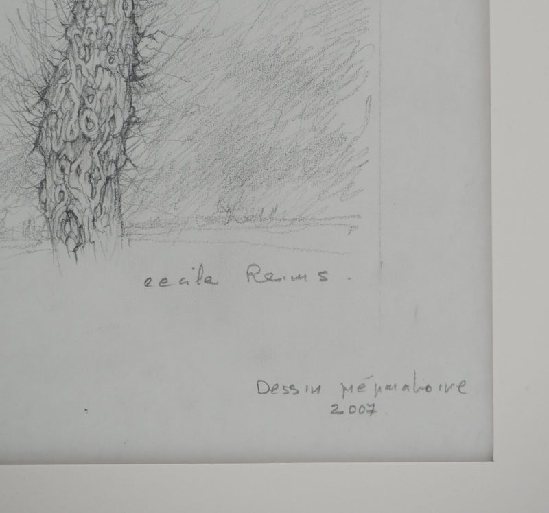 Cécile REIMS : L&