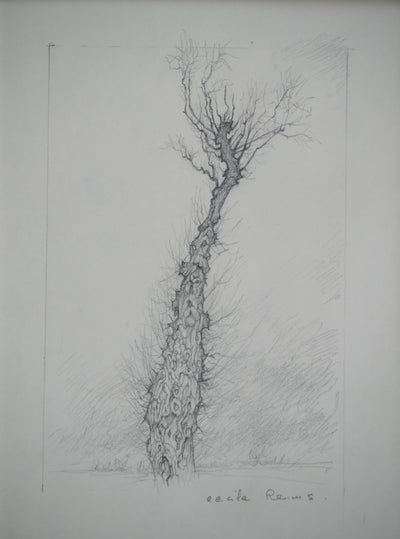 Cécile REIMS : L'arbre, Dessin original signé