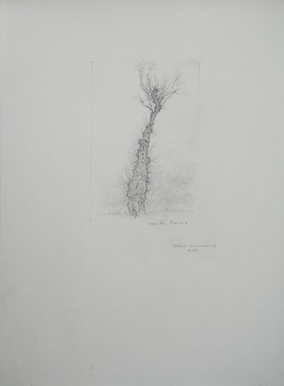 Cécile REIMS : L'arbre, Dessin original signé