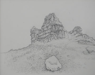 Cécile REIMS : La grande muraille II, Dessin original signé