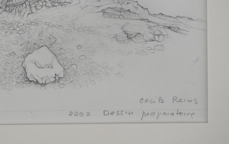 Cécile REIMS : La grande muraille II, Dessin original signé