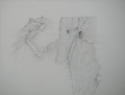 Cécile REIMS : La grande muraille III, Dessin original signé