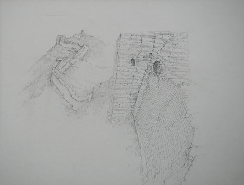 Cécile REIMS : La grande muraille III, Dessin original signé