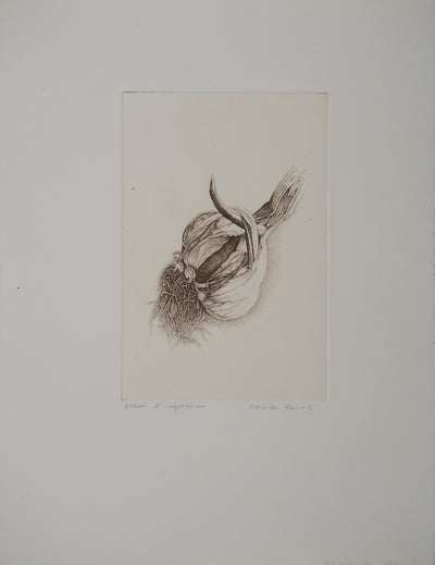 Cécile REIMS : Anatomies végétales, Gravure originale signée