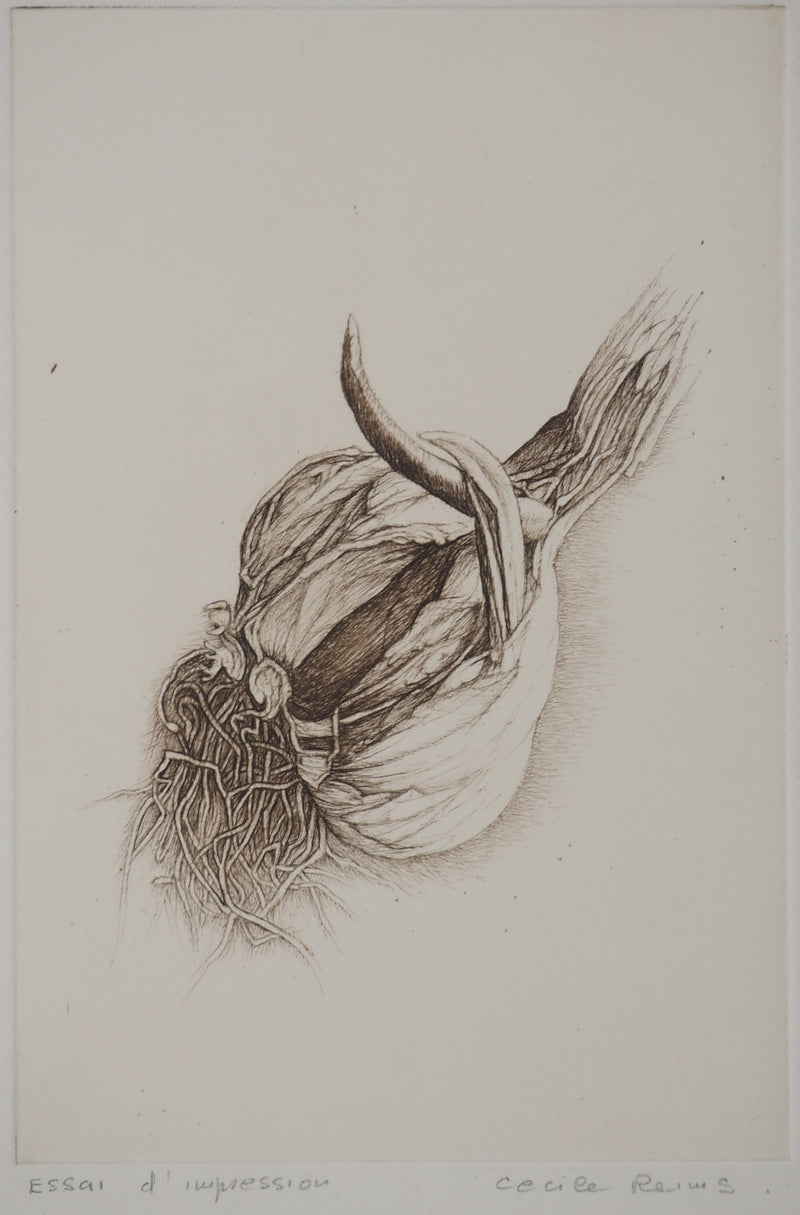 Cécile REIMS : Anatomies végétales, Gravure originale signée
