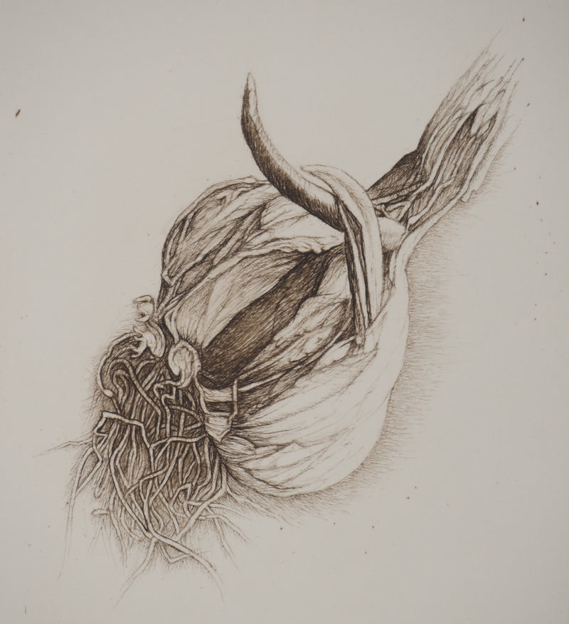 Cécile REIMS : Anatomies végétales, Gravure originale signée