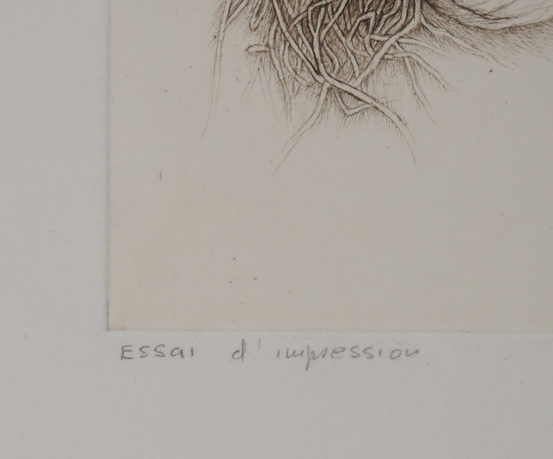 Cécile REIMS : Anatomies végétales, Gravure originale signée