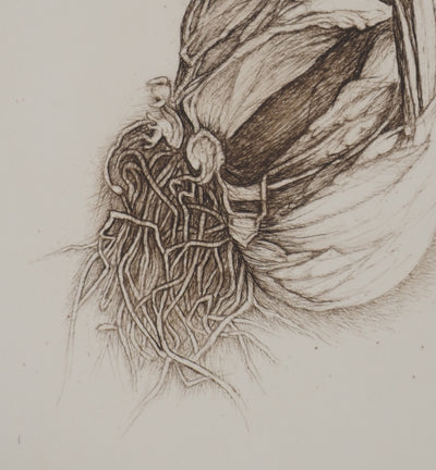 Cécile REIMS : Anatomies végétales, Gravure originale signée