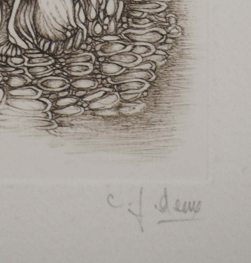 Fred DEUX : Sortant de l&