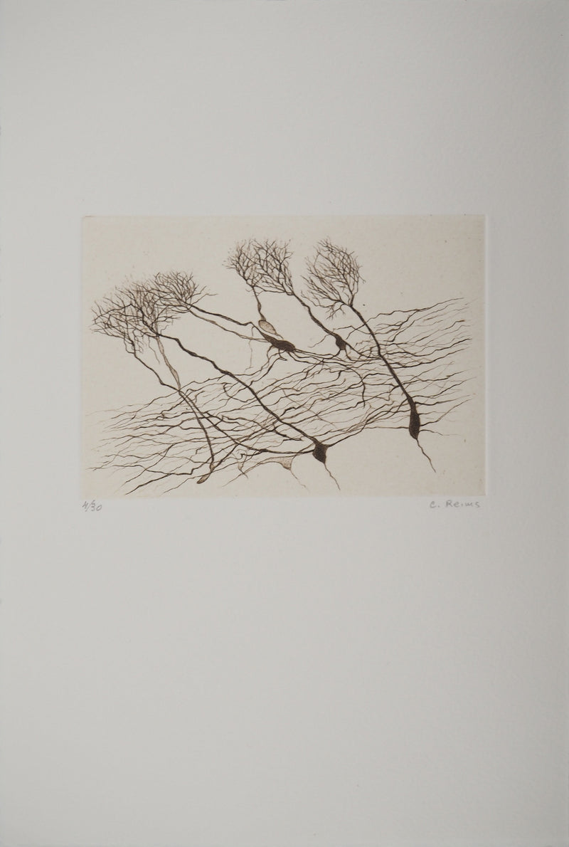 Cécile REIMS : Le vent sur les arbres, Gravure originale signée