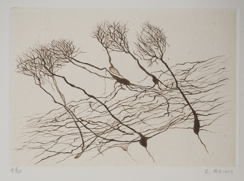 Cécile REIMS : Le vent sur les arbres, Gravure originale signée