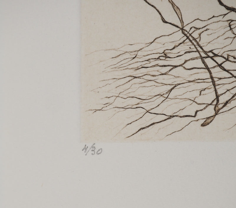Cécile REIMS : Le vent sur les arbres, Gravure originale signée