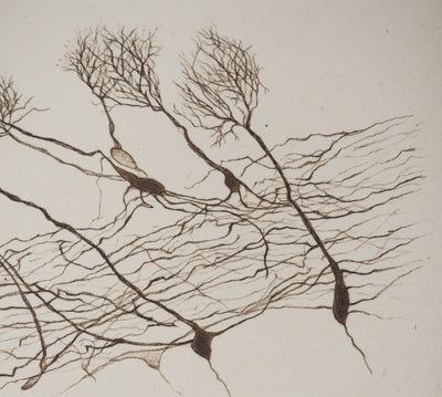 Cécile REIMS : Le vent sur les arbres, Gravure originale signée